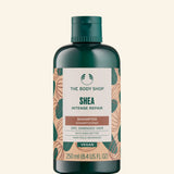 Shea Intense Repair Shampoo