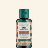 Shea Intense Repair Shampoo